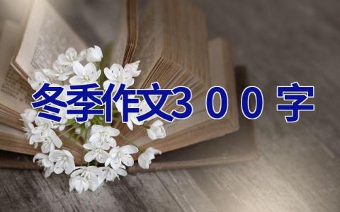 冬季作文300字