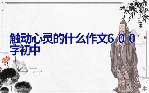 触动心灵的什么作文600字初中
