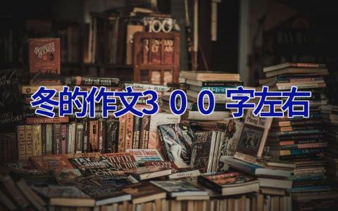 冬的作文300字左右