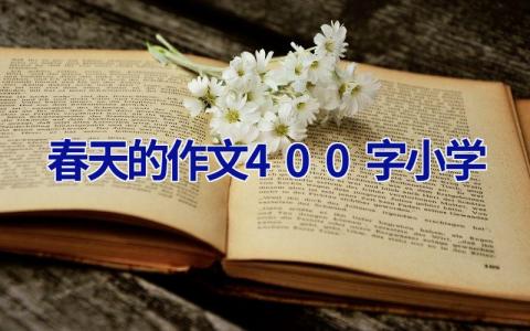 春天的作文400字小学