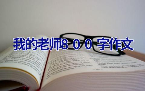 我的老师800字作文