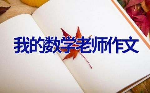 我的数学老师作文