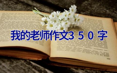 我的老师作文350字