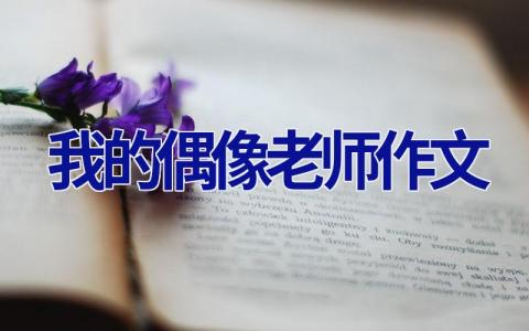 我的偶像老师作文