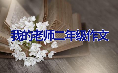 我的老师二年级作文