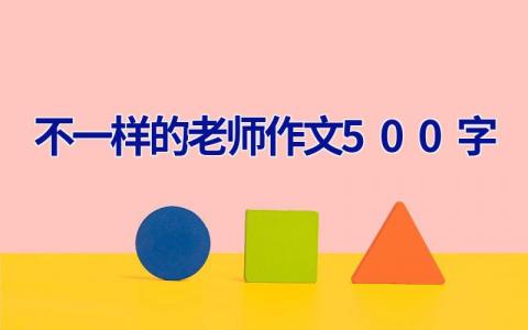 不一样的老师作文500字