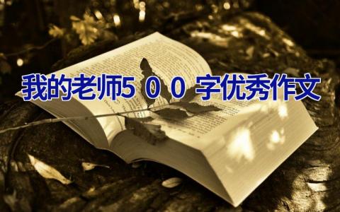 我的老师500字优秀作文