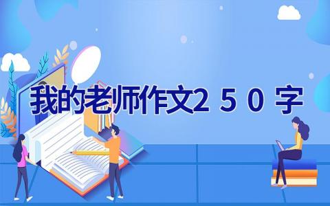 我的老师作文250字