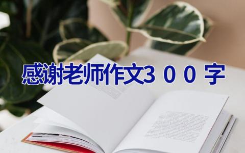 感谢老师作文300字