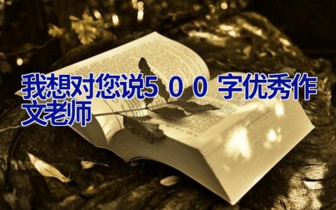 我想对您说500字优秀作文老师