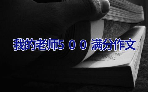 我的老师500满分作文