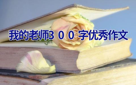 我的老师300字优秀作文