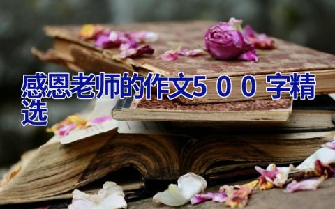 感恩老师的作文500字精选