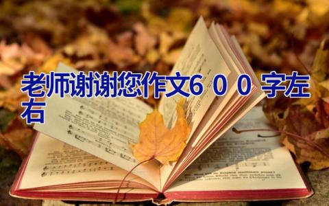 老师谢谢您作文600字左右