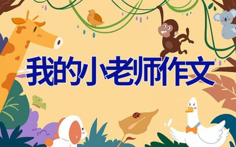 我的小老师作文