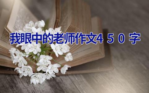 我眼中的老师作文450字