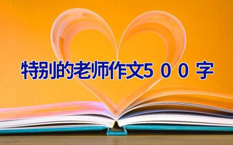 特别的老师作文500字