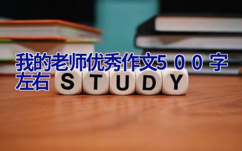 我的老师优秀作文500字左右