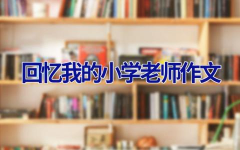 回忆我的小学老师作文