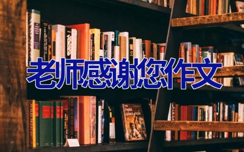 老师感谢您作文