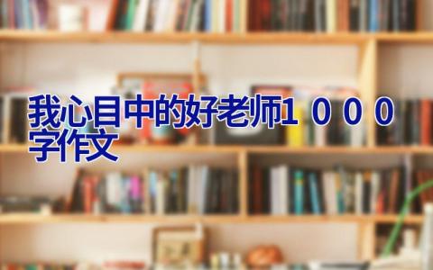 我心目中的好老师1000字作文