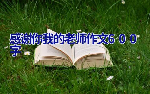 感谢你我的老师作文600字