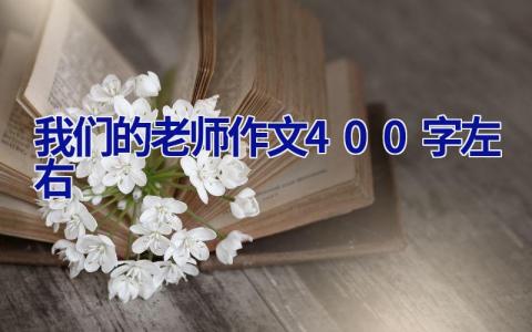 我们的老师作文400字左右
