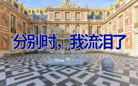 分别时，我流泪了