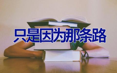 只是因为那条路