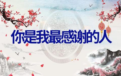 你是我最感谢的人