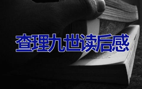 查理九世读后感