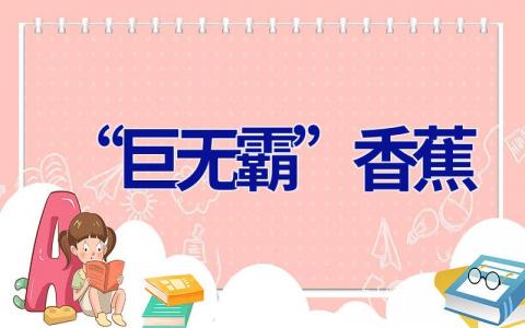 “巨无霸”香蕉