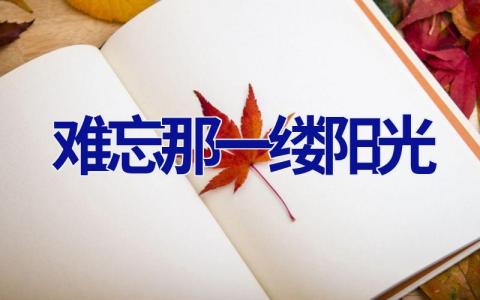难忘那一缕阳光