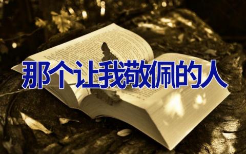 那个让我敬佩的人