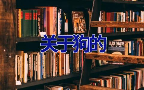 关于狗的