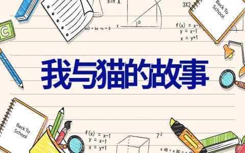 我与猫的故事