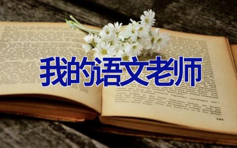 我的语文老师